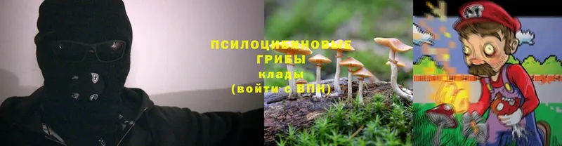 hydra онион  Благодарный  Галлюциногенные грибы MAGIC MUSHROOMS 